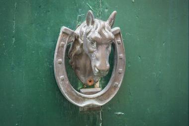 Rustic Silver Door knocker.