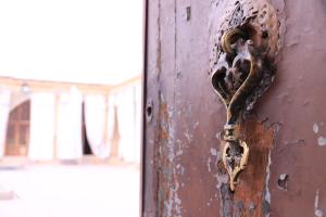 The Fighting Lion Copper Knocker
